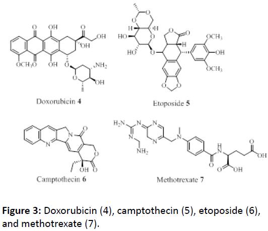 medical-clinical-reviews-Doxorubicin-camptothecin
