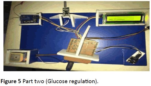 medical-clinical-reviews-Glucose-regulation