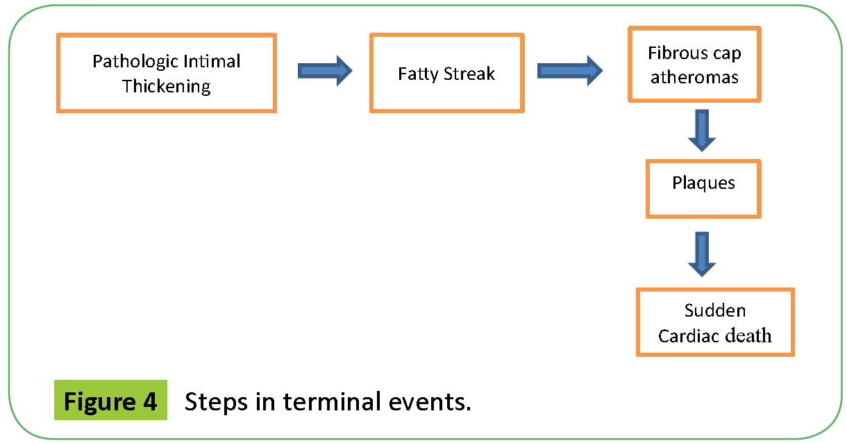 medical-clinical-reviews-Steps-terminal-events
