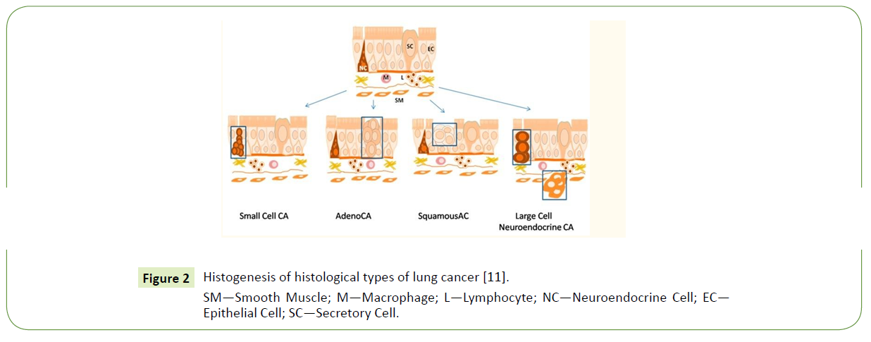 medical-clinical-reviews-cancer