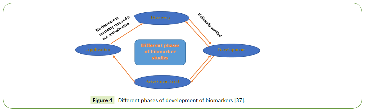 medical-clinical-reviews-development