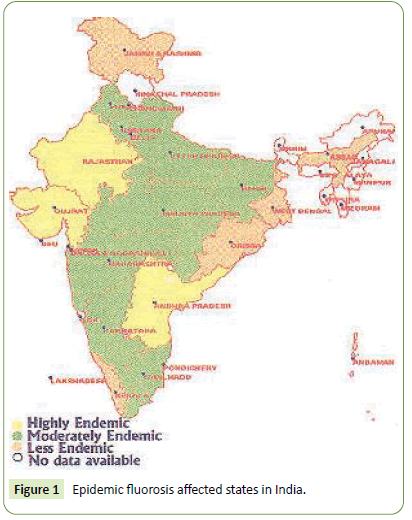 medical-clinical-reviews-fluorosis