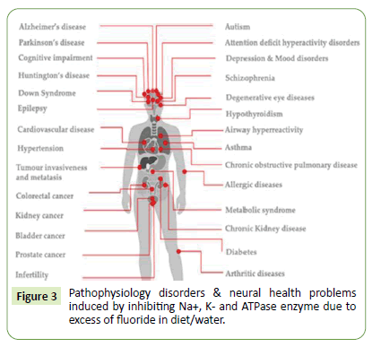 medical-clinical-reviews-inhibiting