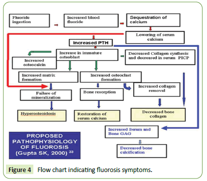 medical-clinical-reviews-symptoms