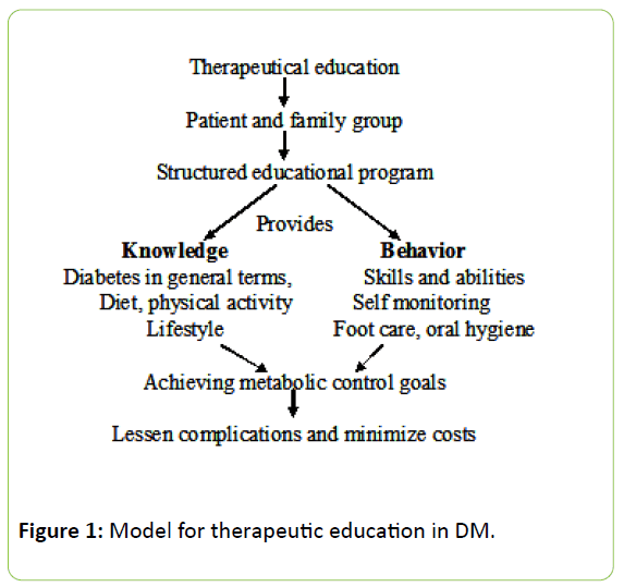 medical-clinical-reviews-therapeutic-education